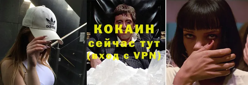 как найти закладки  Котлас  COCAIN Fish Scale 