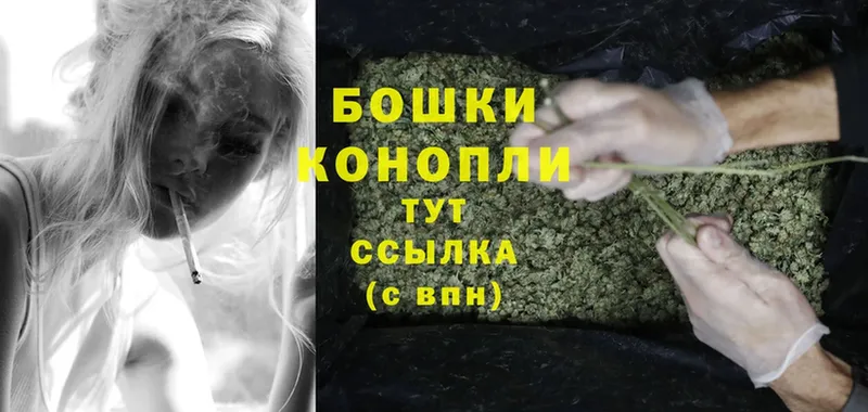 Шишки марихуана THC 21%  наркота  Котлас 